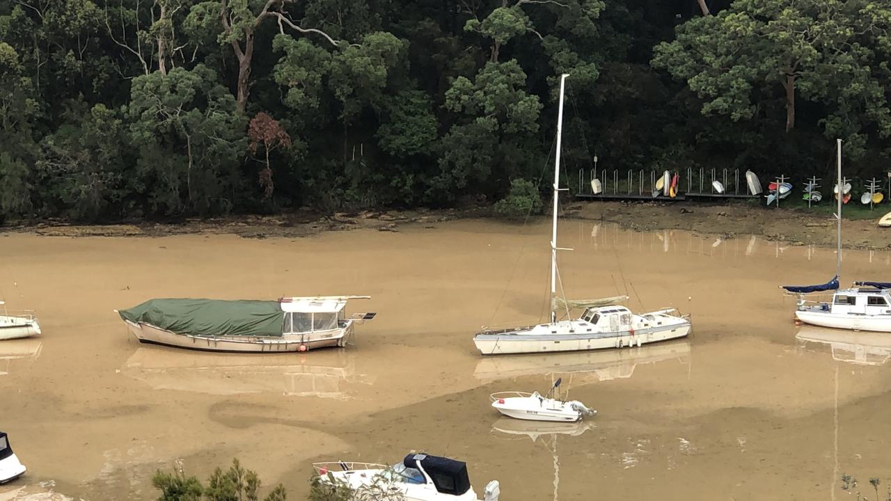 Residents raise alarm after Sydney Harbour turns brown in storm run-off  event | Daily Telegraph