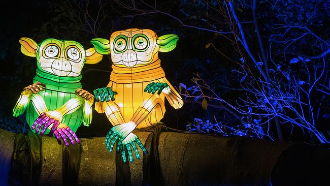 A tarsiers light installation during the Vivid 2016 Sydney Festival at Taronga Zoo. Picture: Supplied