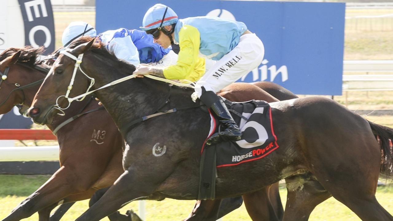 Big Time Charlie (outside) can break through for his first win from an ideal draw. Picture: Bradley Photos