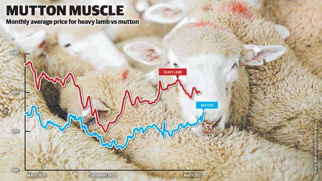 Monthly average price for heavy lamb vs mutton.