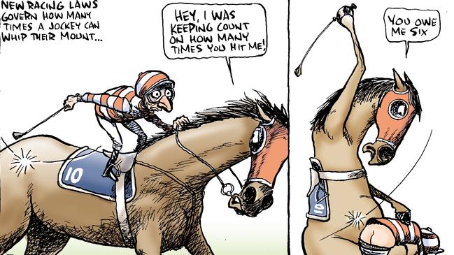 A different view on the new rules over whip use in horse racing.