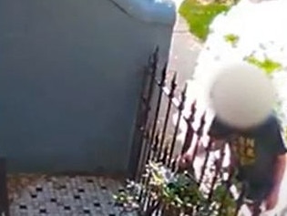 Moment alleged thief steals parcel from doorstep