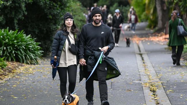 Million Paws Walk at Adelaide Botanic Gardens. Picture: Brenton Edwards