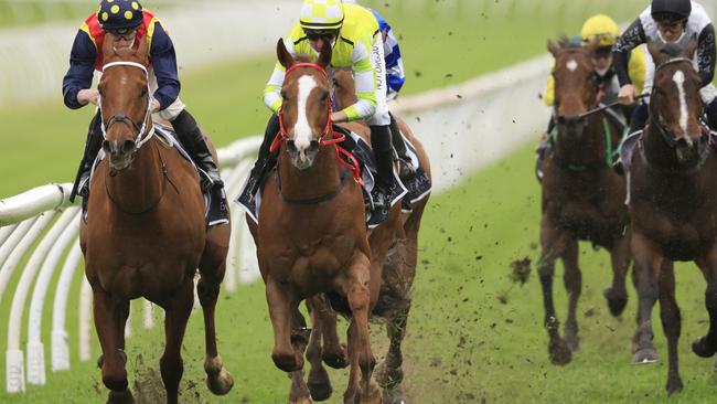 Eduardo (yellow) wins The Shorts from Nature Strip and Gytrash. Picture: Mark Evans – Getty Images