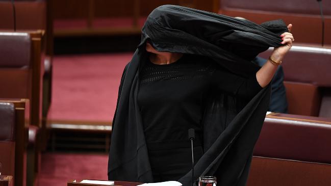 Pauline Hanson addresses the Senate wearing full burqa