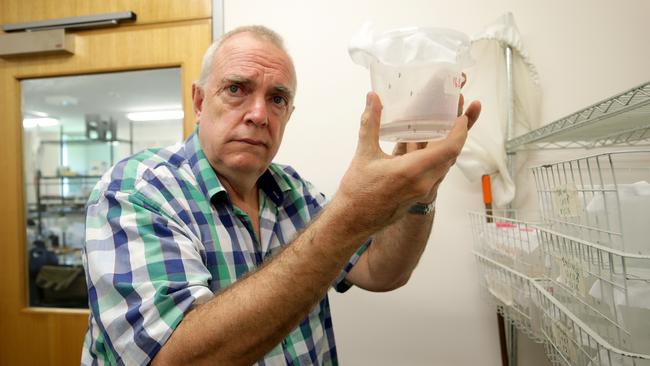 Adjunct professor of medical entomology Scott Ritchie at James Cook University in Cairns. Picture: Marc McCormack