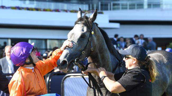 Craig Williams with El Morzillo after winning the Inglis Sprint at Flemington on March 1. Picture: Racing Photos