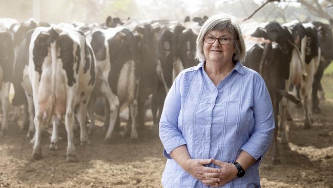 Ann Gardiner with her dairy cows. Picture: Zoe Phillips