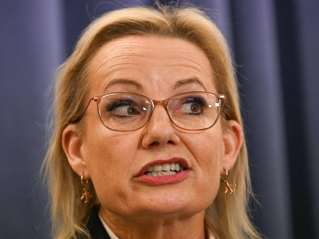 Sussan Ley is Australia’s new Leader of the Opposition after she was chosen to lead the Liberal Party. Picture: Saeed Khan / AFP