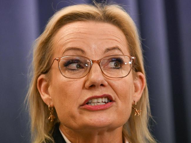 Sussan Ley is Australia’s new Leader of the Opposition after she was chosen to lead the Liberal Party. Picture: Saeed Khan / AFP