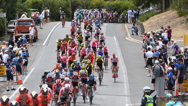 The peloton passes through Inglewood. Picture: Tricia Watkinson