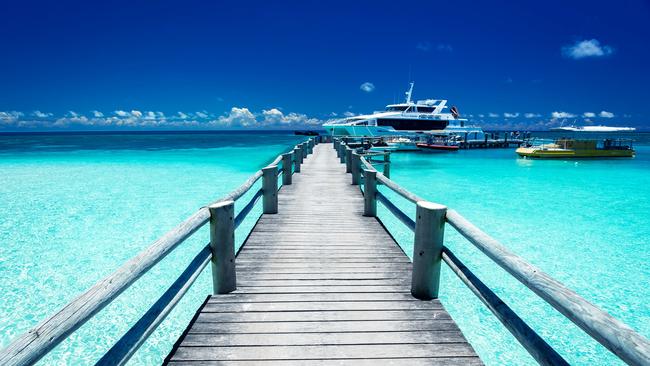 Embark on an adventure on Heron Island during these school holidays. Picture: Heron Island