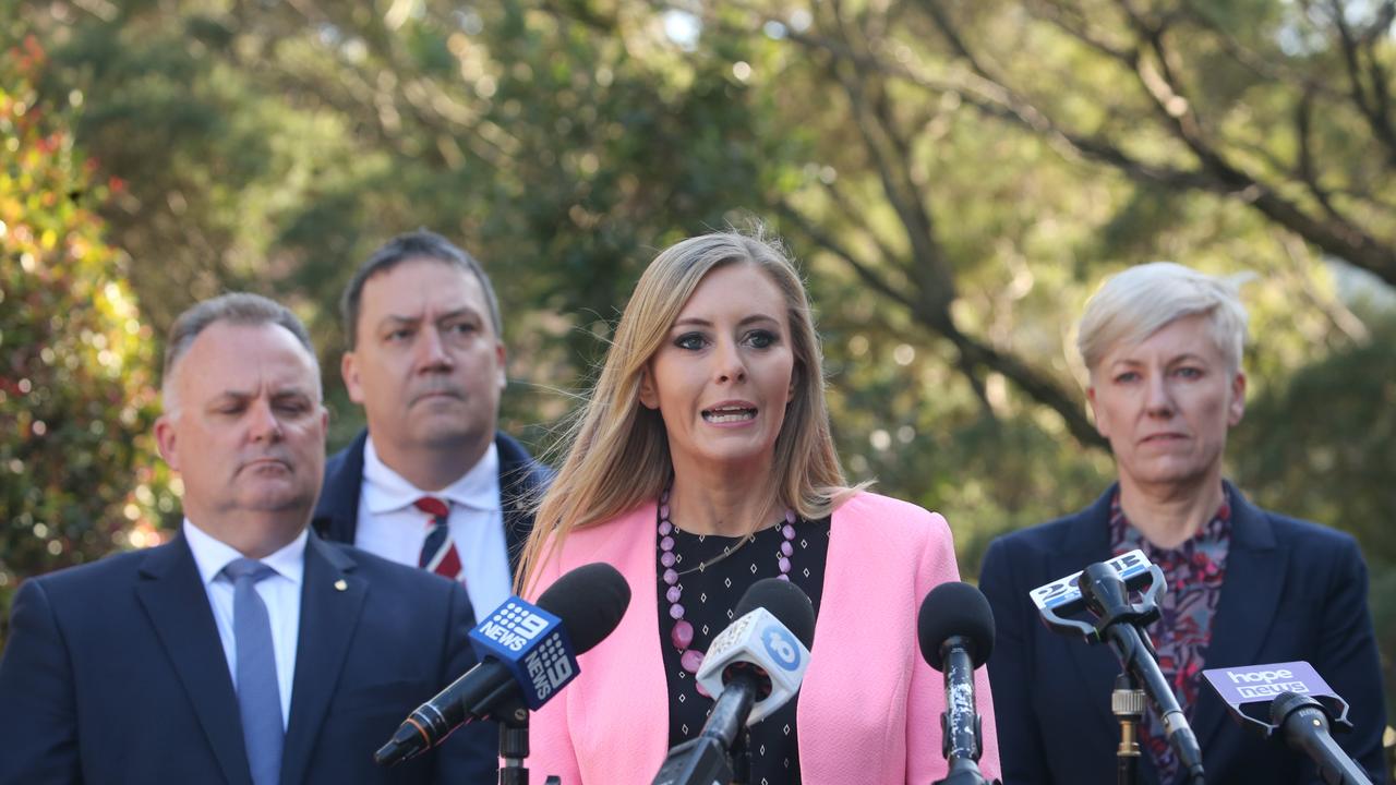 Animal Justice Party MP Emma Hurst addresses the media in a press conference at NSW Parliament House. A a cross-party alliance between the AJP, Liberals, Greens, Liberal Democrats and independent MPs calling on the government to scrap the use of shark nets. Picture: NCA Newswire/ Gaye Gerard