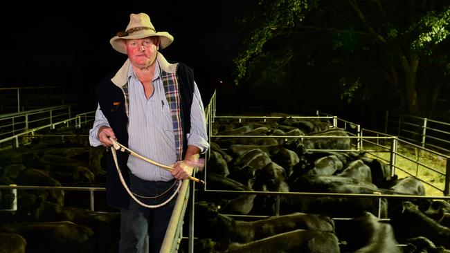 Nightwatchman Nobby McMahon at Omeo saleyards last night Picture: Zoe Phillips