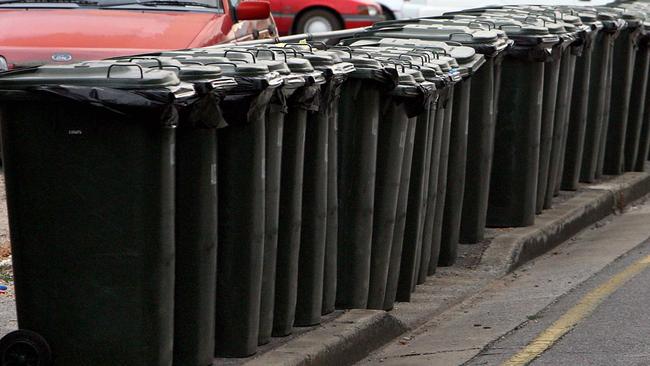 Despite so many bins in close proximity - and along a significantly lengthy suburban street - it appears our wheelie is being specifically targeted. (File picture)