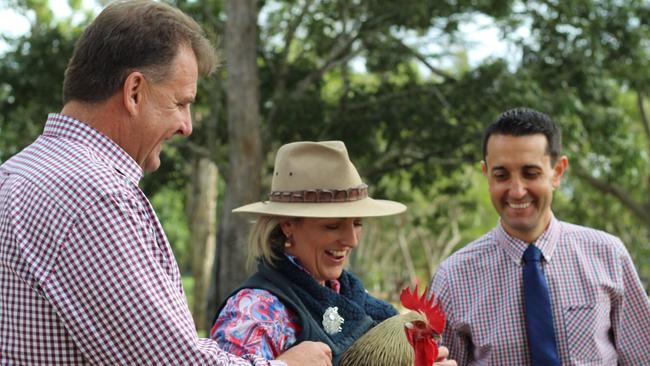 LNP Burnett MP Stephen Bennett echoed opposition leader David Crisafulli’s claim that “undermining ministers and factional warlords” were the deciding factor in the leadership tussle.