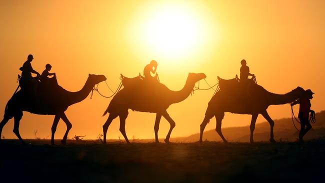 The team from Lakes Entrance Camel Rides. Picture: Alex Coppel