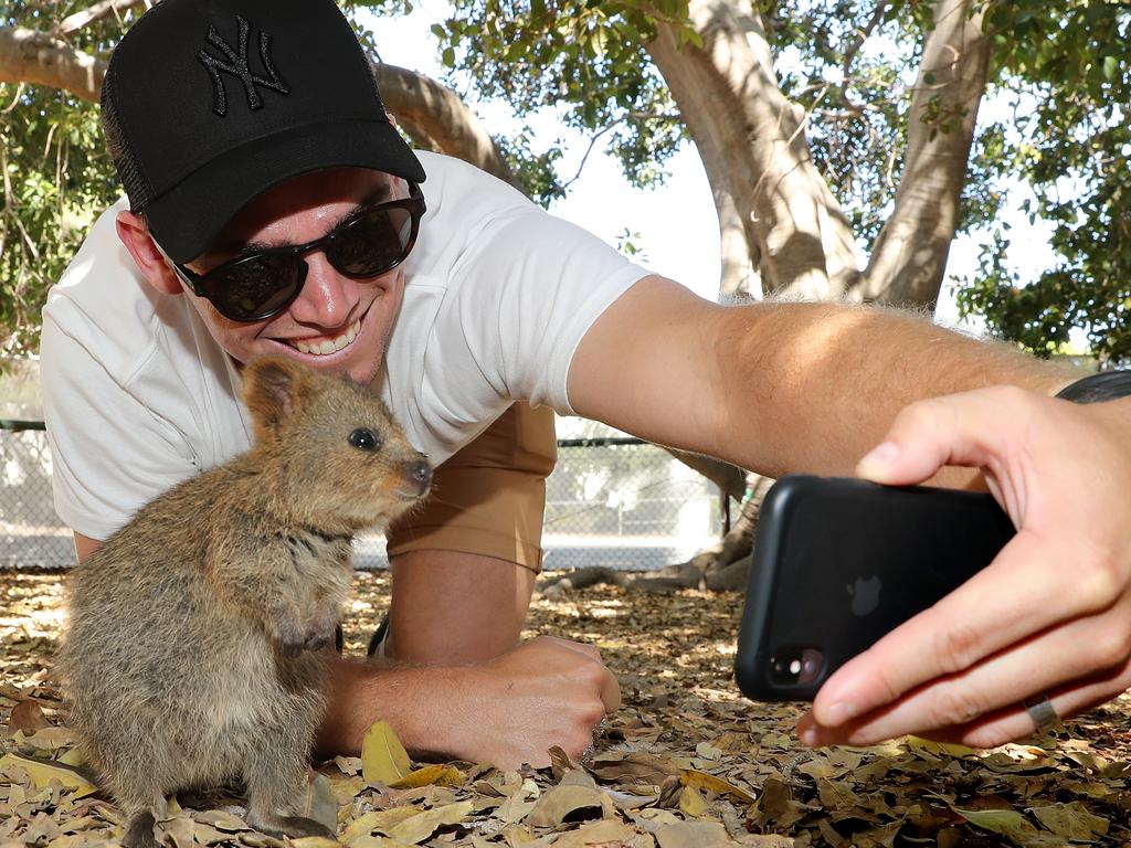 Opening batsman Tom Latham takes a selfie with a quokka during a visit to Rottnest Island.