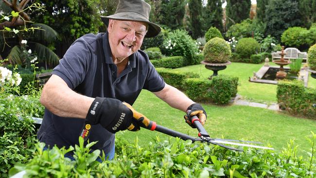 Advertiser new gardening coloumnist Michael Keelan in his back yard garden. Picture: Mark Brake