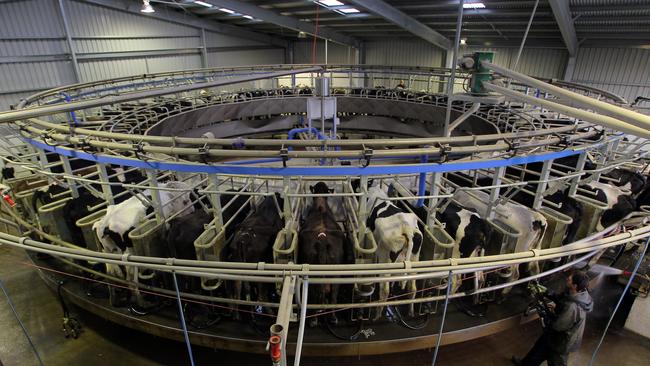 Pictured in 2011, Van Diemen's Land Company (VDL) was the biggest dairy farm in Australia as well as the biggest supplier of milk in Australia at the start of the decade.