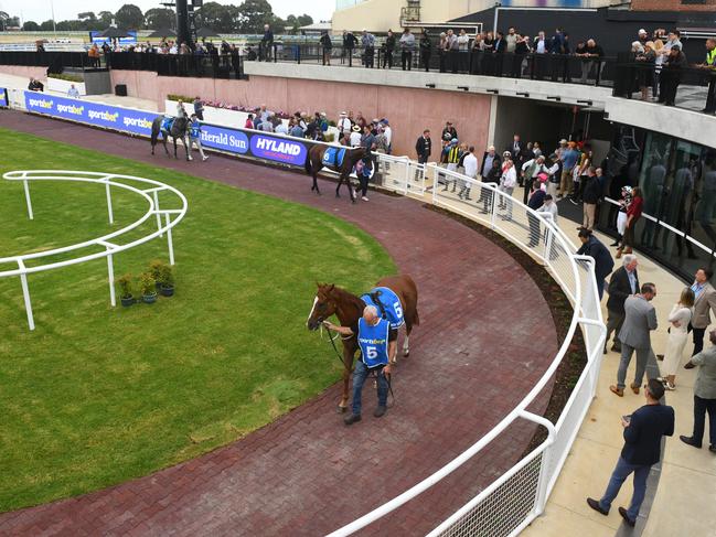 MELBOURNE, AUSTRALIA - MARCH 13: General view of the new mounting yard in Race 1, the Sportsbet Make It Look Easy Plate, during Melbourne Racing at Caulfield Heath Racecourse on March 13, 2024 in Melbourne, Australia. (Photo by Vince Caligiuri/Getty Images)