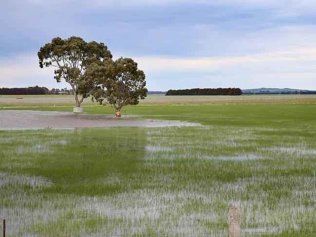 Flooded paddocks outside Stretham, rain, waterPicture: ANDY ROGERS