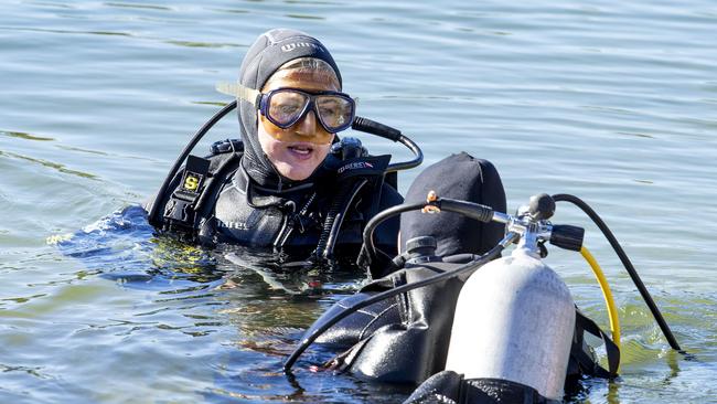 Sea World divers went hunting for a stone fish but found algae instead. Picture: Jerad Williams