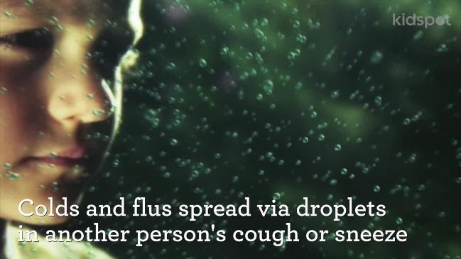 Facts about cold and flu