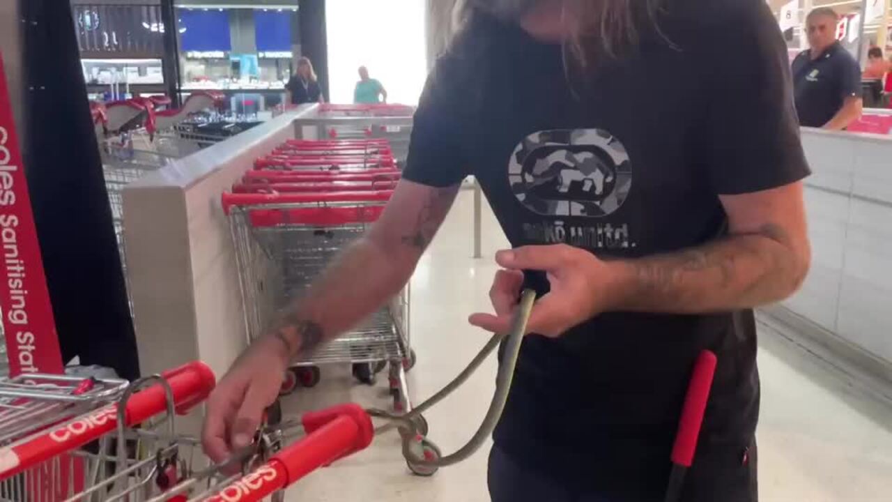 Slithery surprise as snake found on Coles trolley