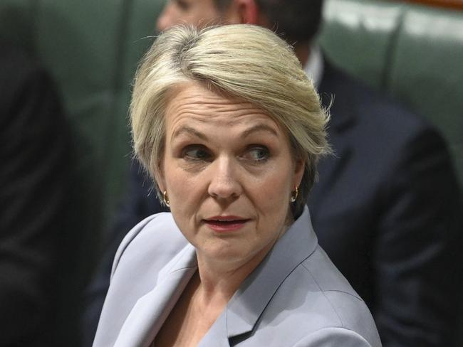 CANBERRA, Australia, NewsWire Photos. June 6, 2024: Minister for the Environment and Water Tanya Plibersek during Question Time at Parliament House in Canberra. Picture: NewsWire / Martin Ollman