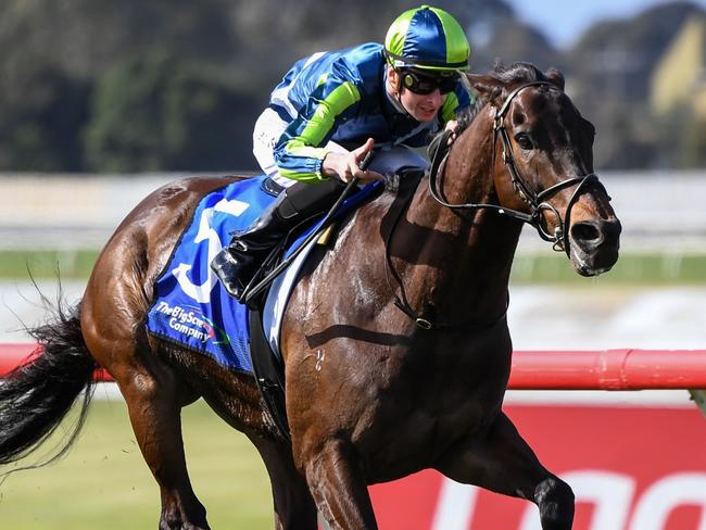 Floating Artist (GB) ridden by Teodore Nugent wins the The Big Screen Company Handicap  at Ladbrokes Park Hillside Racecourse on September 25, 2021 in Springvale, Australia. (Pat Scala/Racing Photos via Getty Images)