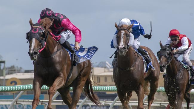 Jockey Luke Dittman riding On Show to a win in the Class 2 Handicap (1400m) for trainer Gillian Heinrich at the Gold Coast Turf Club on Saturday, February 2. Picture credit: Greg Irvine (Magic Millions).