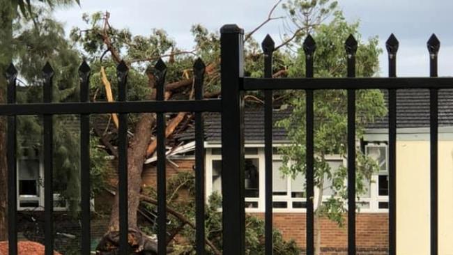 A tree has fallen on Sylvania Heights Public School. Picture: Supplied