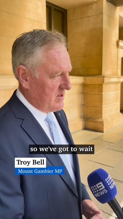 Disgraced MP Troy Bell speaks outside court