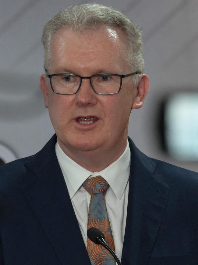 Immigration Minister Tony Burke. Picture: Bay Ismoyo/AFP