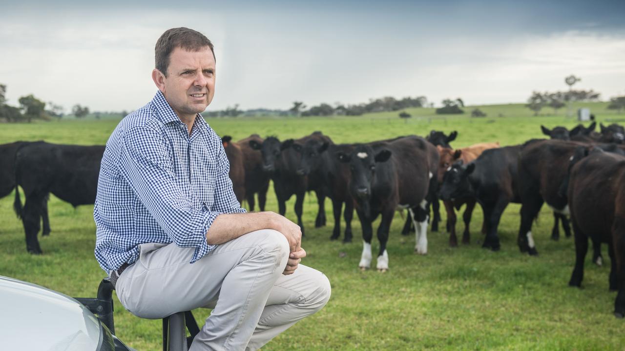 Independent former Liberal MP Nick McBride at his farm in Conmurra. Picture: Tom Huntley