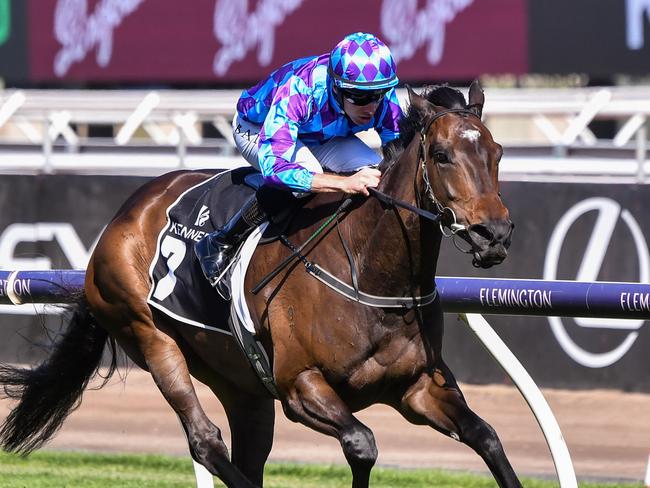 Pride Of Jenni wins the Kennedy Champions Mile at Flemington in 2023.Picture: Pat Scala/Racing Photos via Getty Images