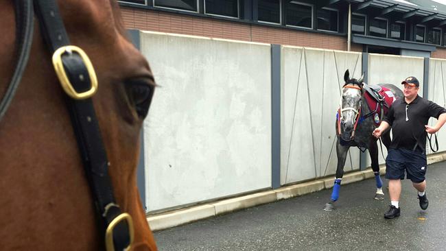 Rob Heathcote captured the moment as Buffering and Chautauqua crossed paths at Sha Tin on Wednesday.