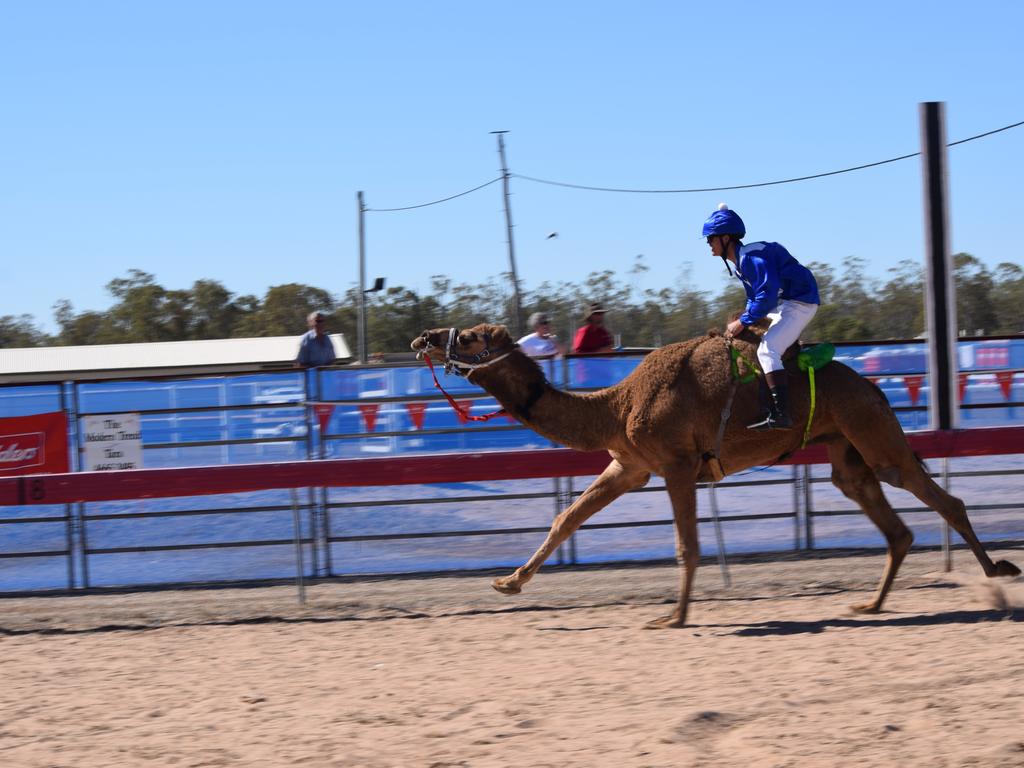 Tara Festival of Culture and Camel Races