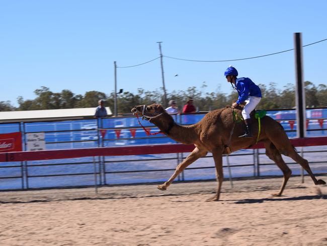 Tara Festival of Culture and Camel Races