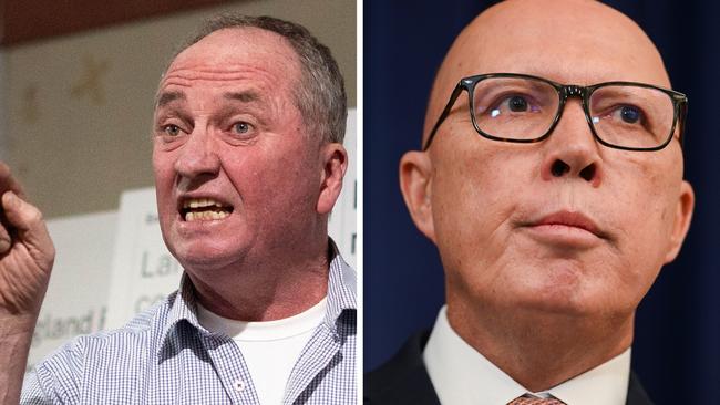 Barnaby Joyce and Peter Dutton.