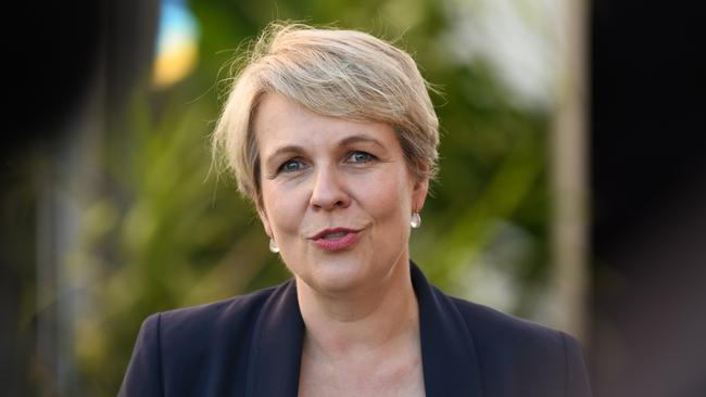 Environment Minister Tanya Plibersek. Picture: NCA NewsWire / Naomi Jellicoe