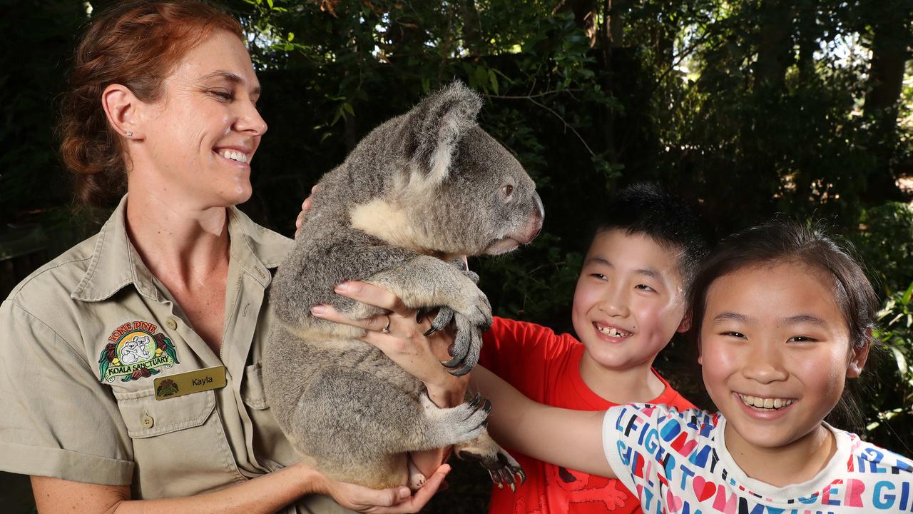 Chinese tourists had been heading to Australia in increasing numbers. Picture: Liam Kidston