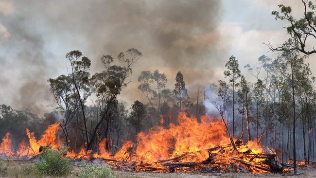 Fire crews conduct backburning operations at the scene of the Dunmore fire.