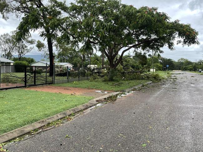 Tropical Cyclone Kirrily 2024: Trees fallen across the suburb of Kelso.