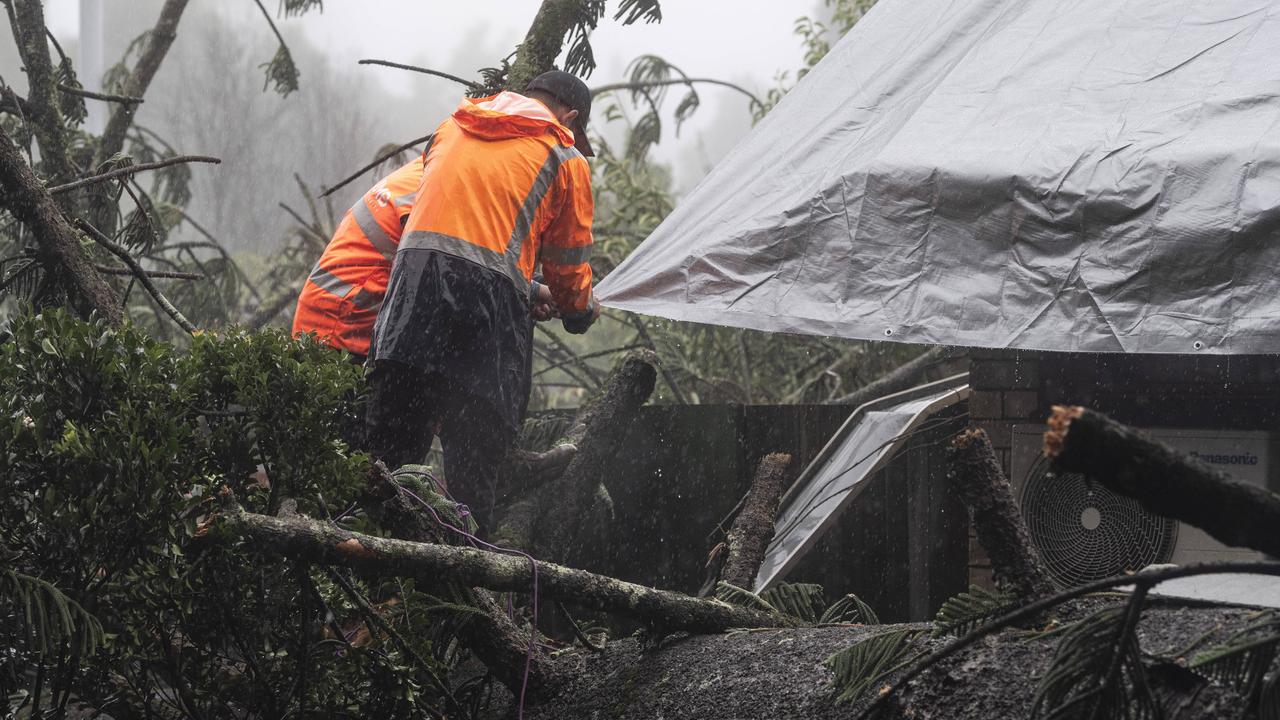 Cyclone disaster relief: Am I eligible? How much might I receive?