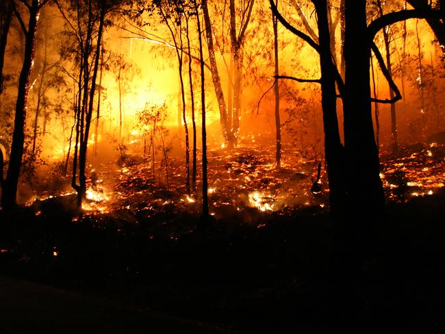 Intensity and frequency of bushfires to increase under climate change affected weather patterns. Picture: News Corp