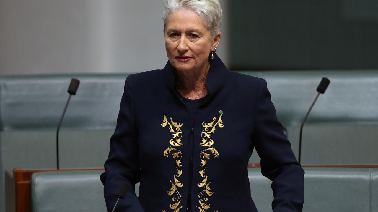 Kerryn Phelps during her maiden speech. Picture: Gary Ramage