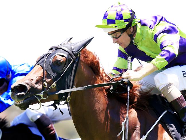 Coolcraft, ridden by hugh Bowman, wins race 1 during Canterbury Races. pic Mark Evans