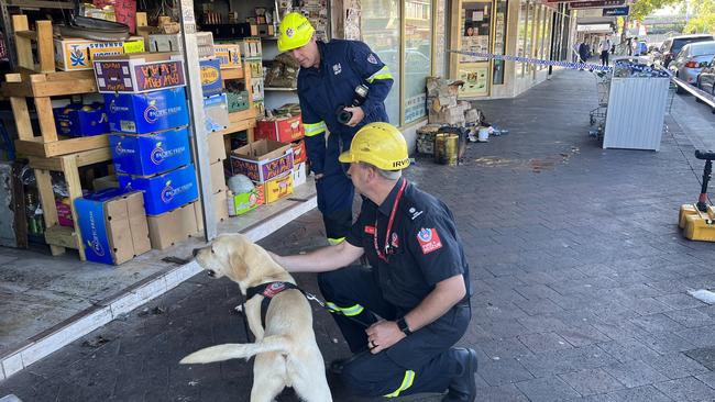 FRNSW accelerant detection dog, ‘Xando’ at the scene this morning. Picture: Fire and Rescue NSW